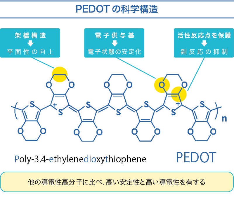 PEDOTの科学構造